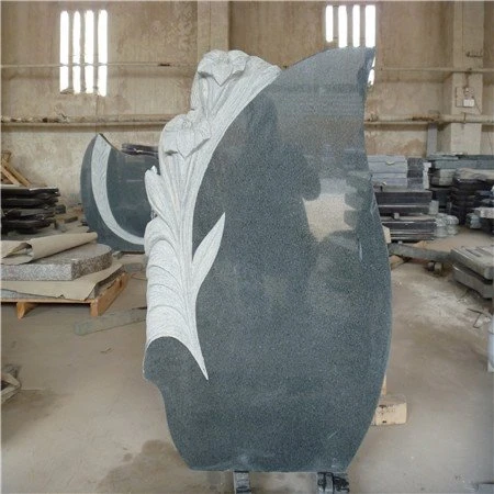 Carving G654